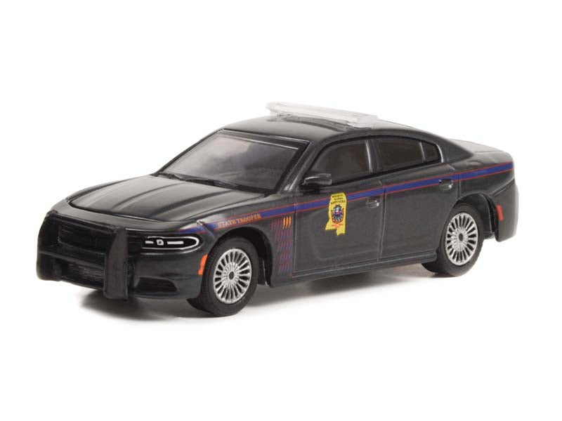 2020 Dodge Charger - Mississippi Highway Safety Patrol State Trooper (Hot  Pursuit) Series 42 Diecast 1:64 Scale Model - Greenlight 43000D - Karson